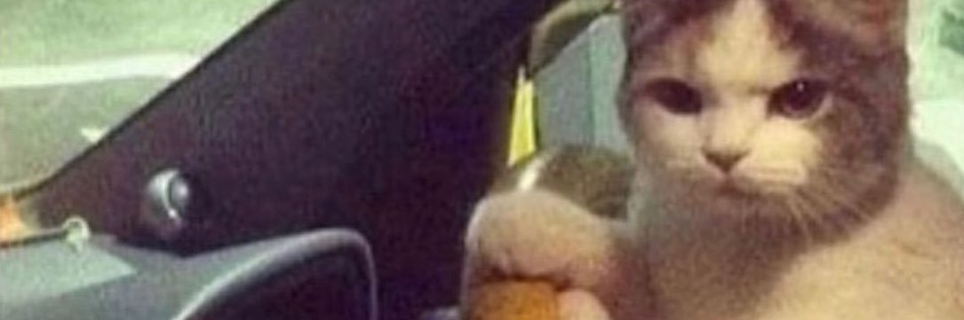 Jacob Evenson banner