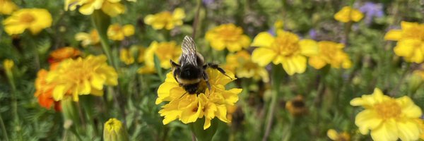 kat_heger Profile Banner