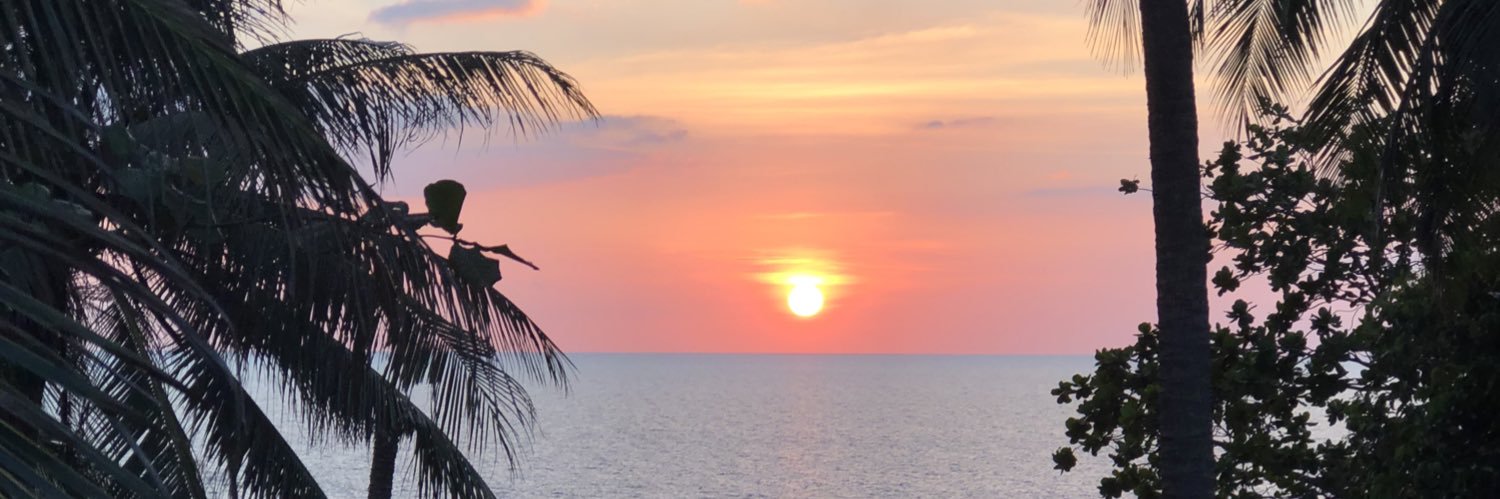 theoleang's profile banner image