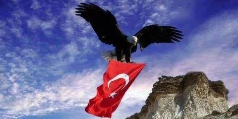 tudaloglu's profile banner image