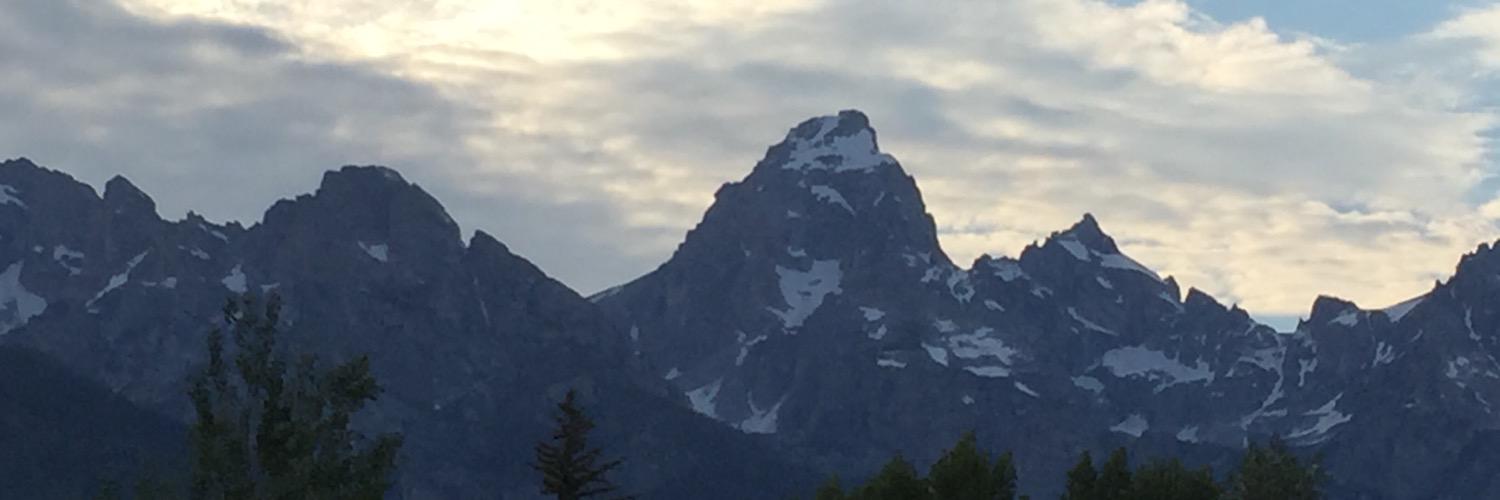 Kevin Robison banner