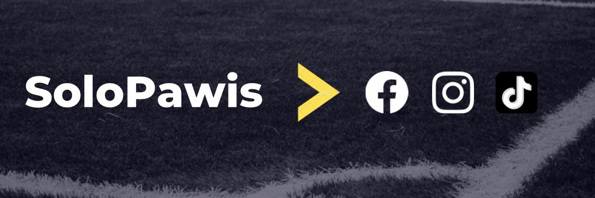solopawis's profile banner image