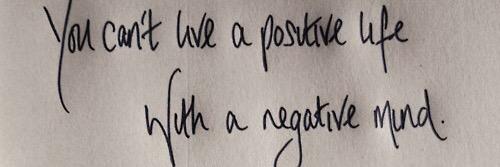 Federica Masolin banner