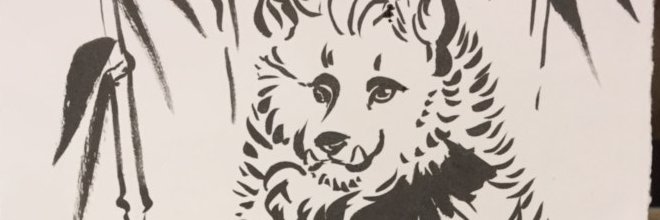nookabullgaming's profile banner image