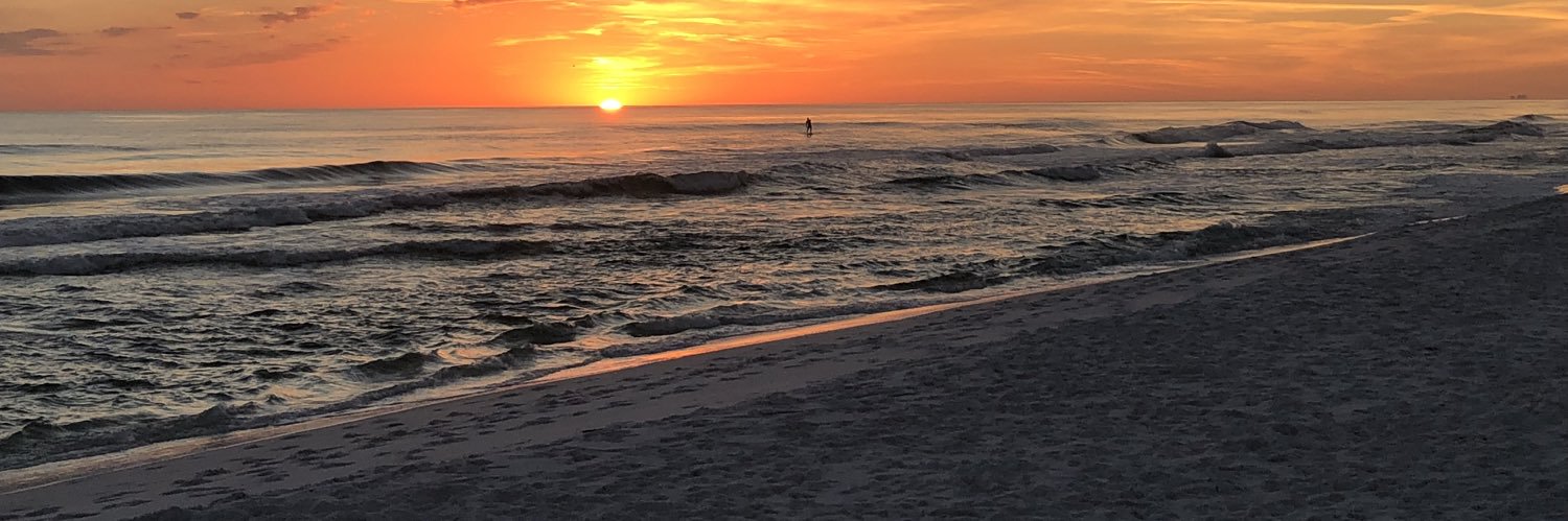 SandraStewart93's profile banner image