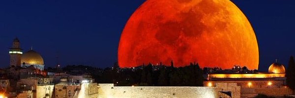 samib34 Profile Banner