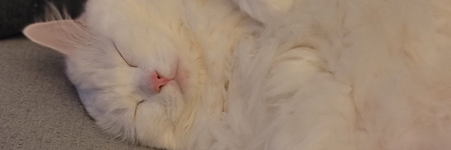 astrosnow's profile banner image