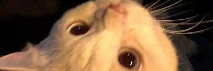 vzlghfry's profile banner image