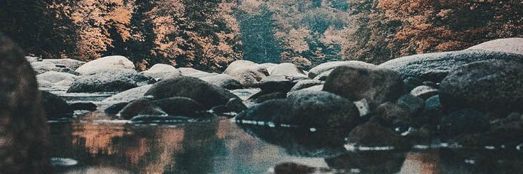 arviefaith's profile banner image