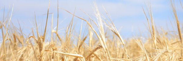 Edscokeller Profile Banner