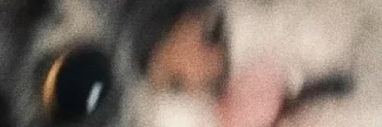 crys banner