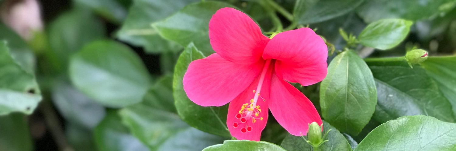 aa_chakri's profile banner image