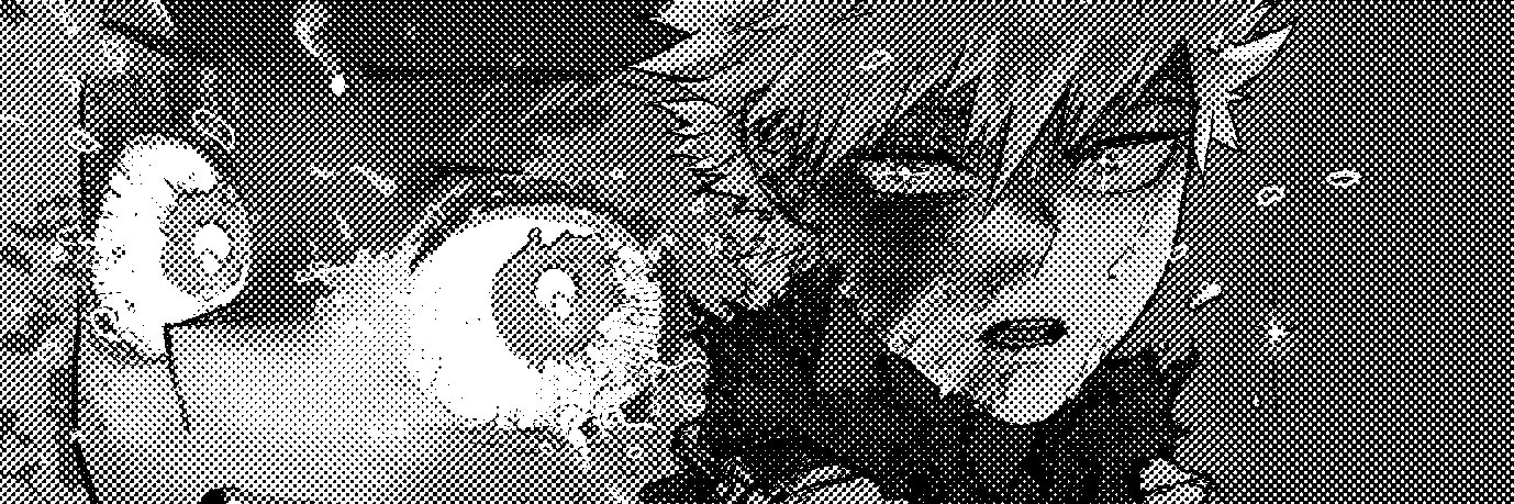 ウヅキ banner