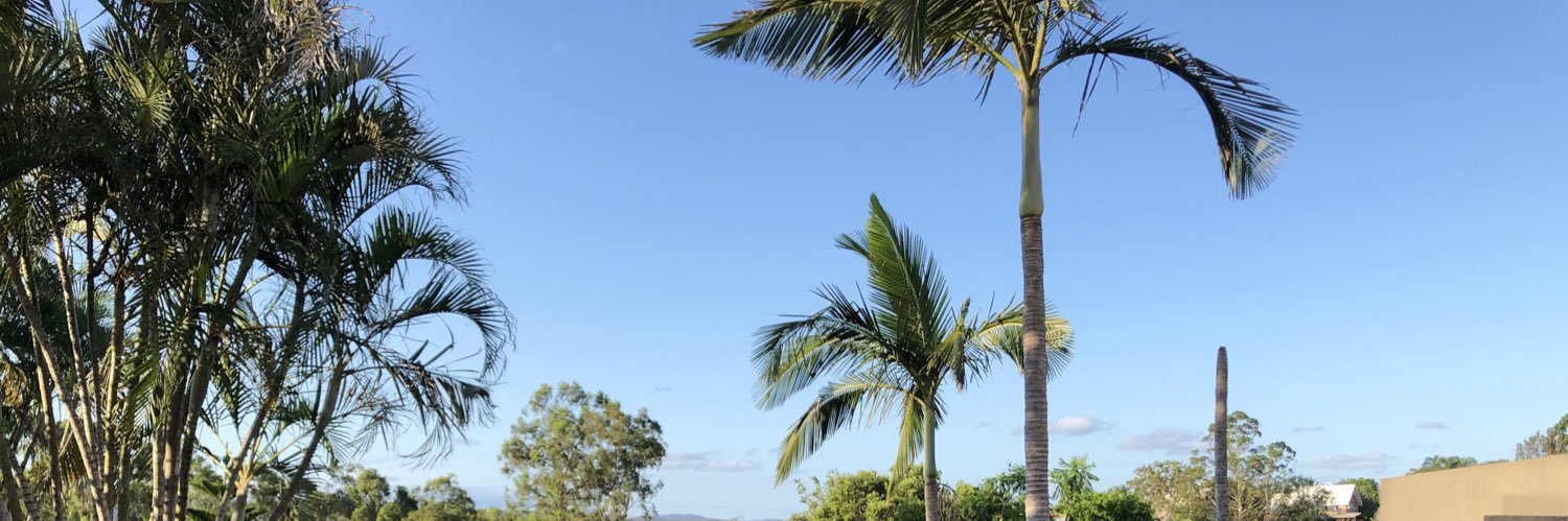 Thomas van der Pol banner