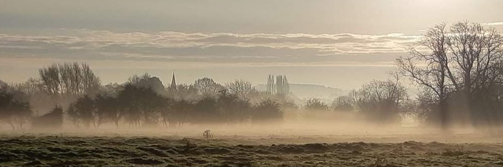 PROTECT DISEWORTH🍃 💚🍃's banner