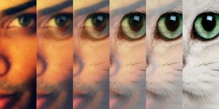 Oodys1112's profile banner image