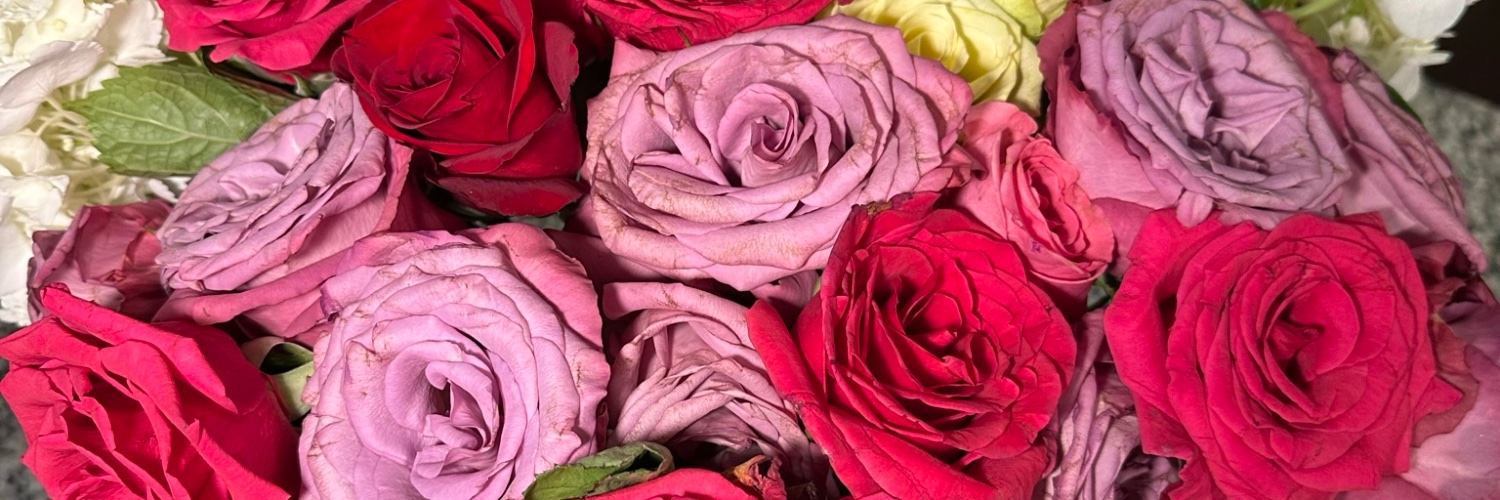 Kissaminaaa's profile banner image