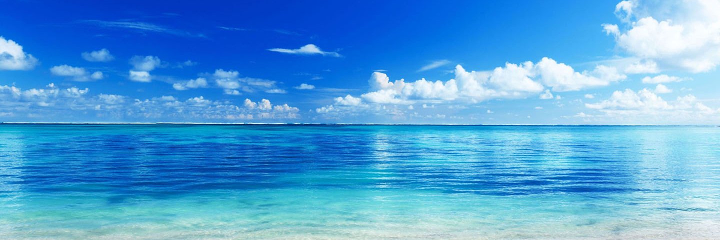 Vernon C. Minter banner