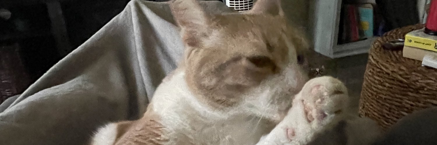 BKSRLYF21's profile banner image