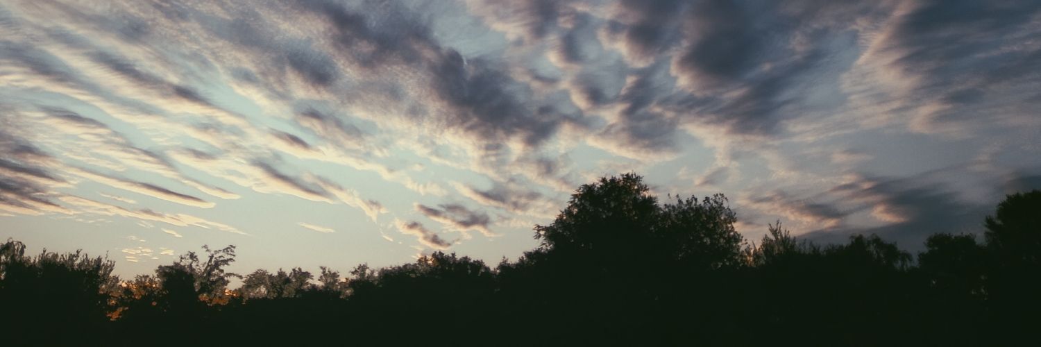 VercellonePaula's profile banner image