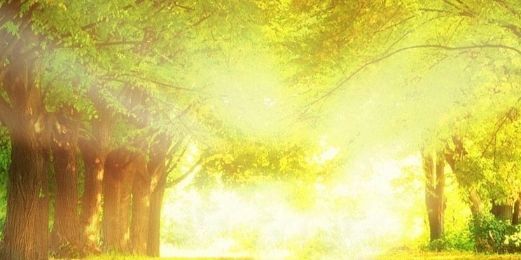 lywyl's profile banner image