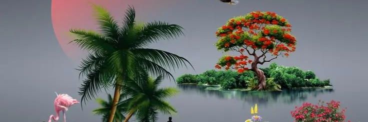 omer_alnyl's profile banner image