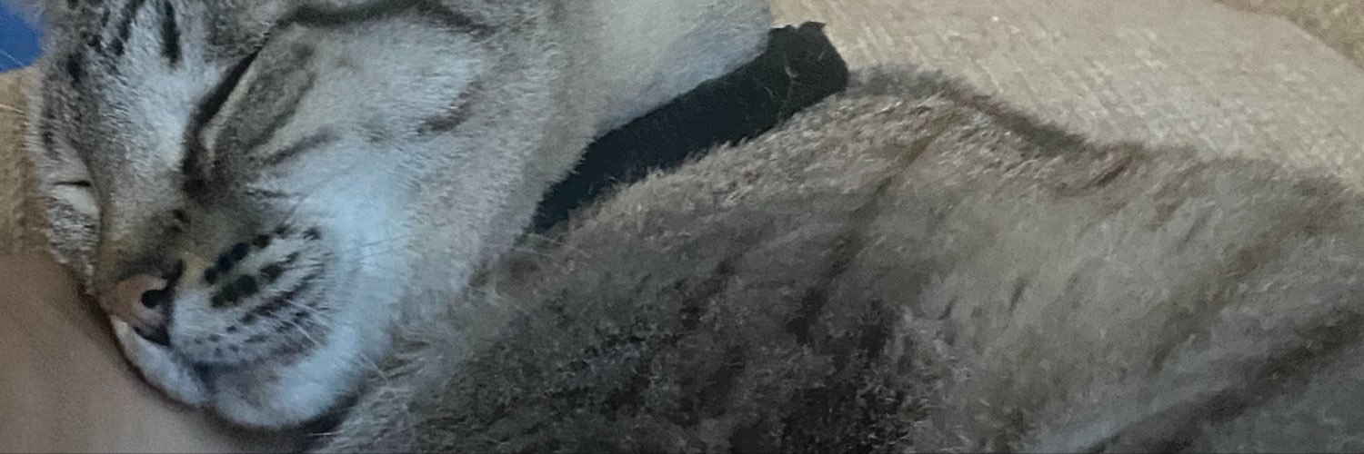 diamonds__ri's profile banner image