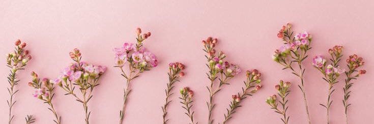 3_yuly's profile banner image