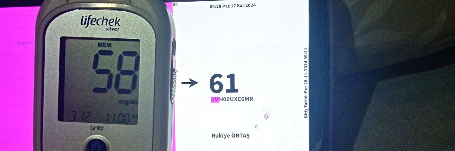 Rukiyeortas's profile banner image