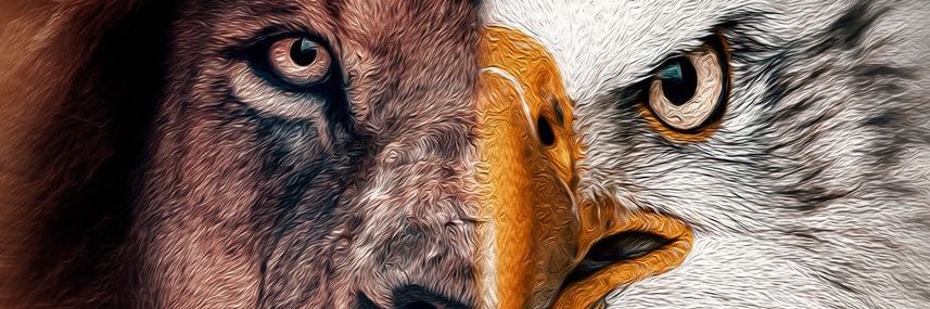 lguy_mba_ea's profile banner image