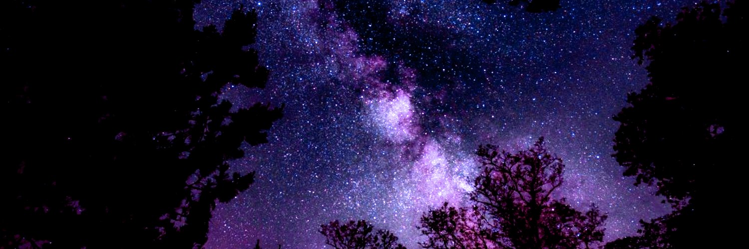 gwenefar's profile banner image