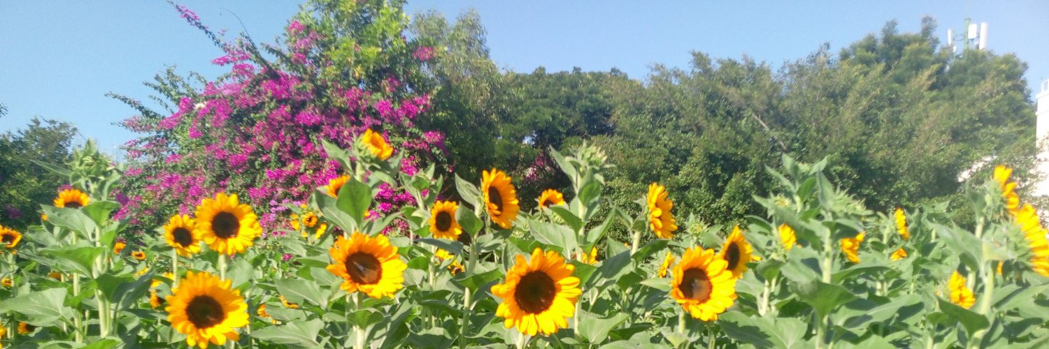 jjustmook_'s profile banner image