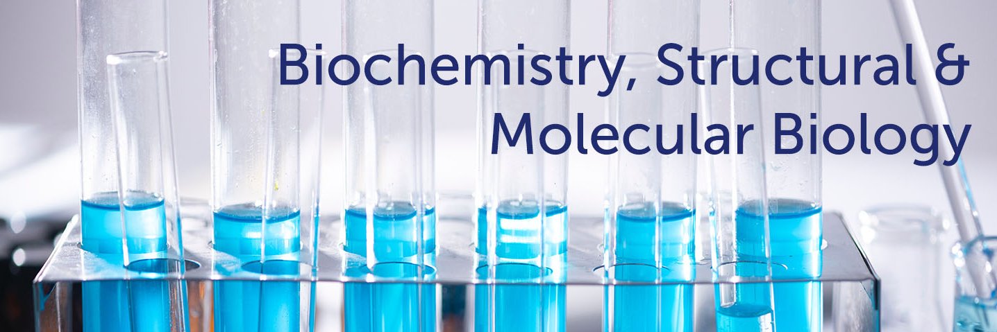 BSMB @Jefferson banner