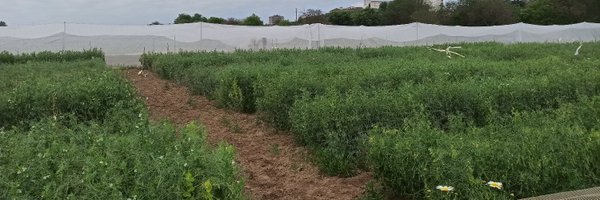 ManuA_jv Profile Banner