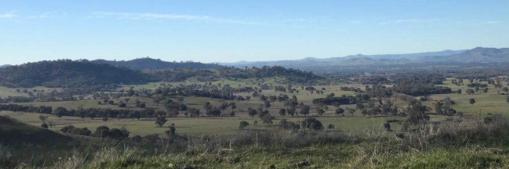 Millie Bourke banner