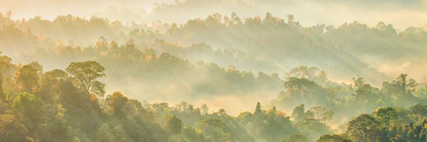 MTCC_My Profile Banner