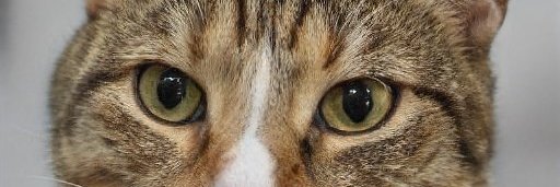 AmyJohn05706307's profile banner image