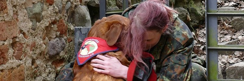 rehahunde's profile banner image