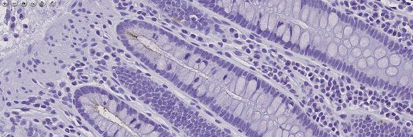 SciComSarah Profile Banner