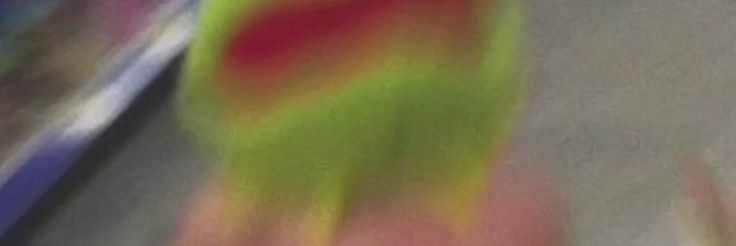 pmpll banner