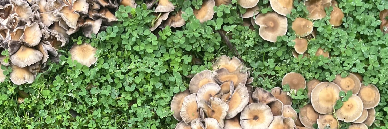 Mother-Man ☻ banner