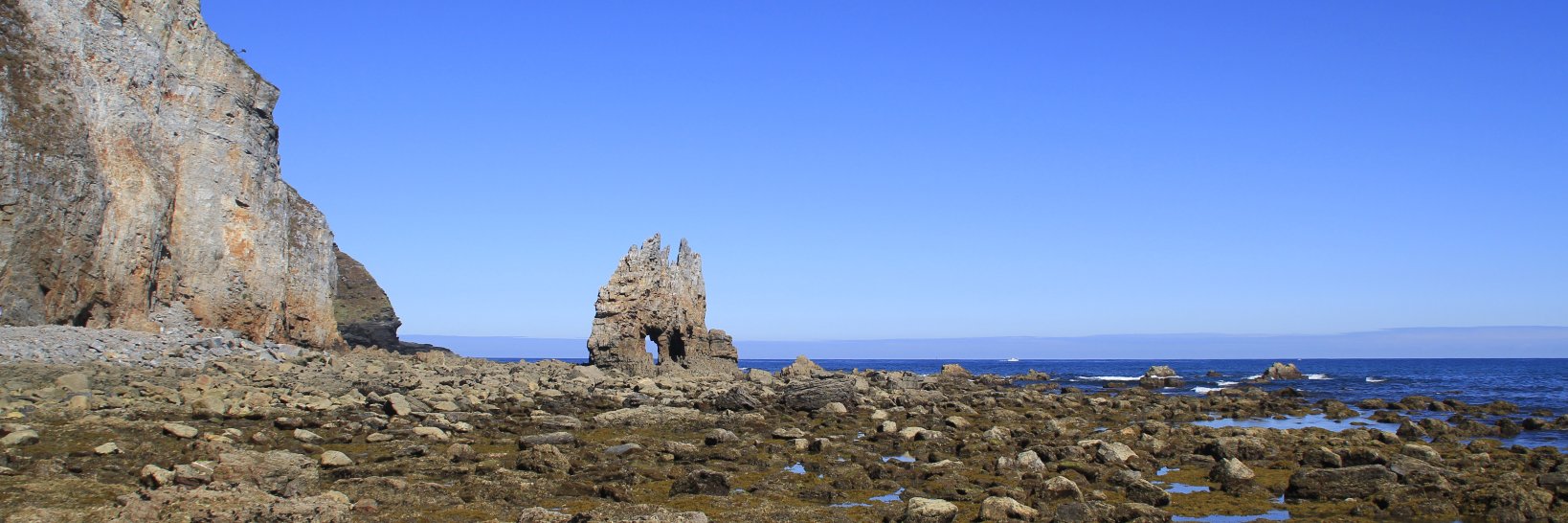 Cesar Fernandez banner