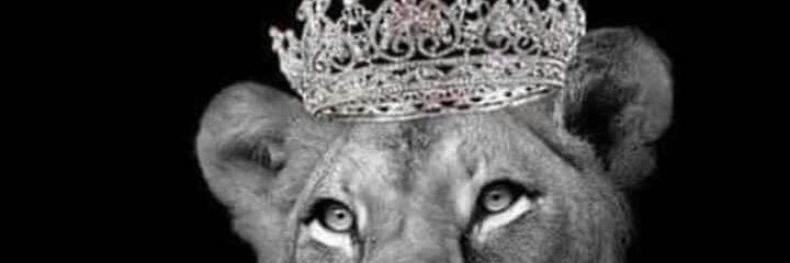 Ladiebug20's banner