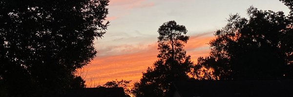 vtorres619 Profile Banner