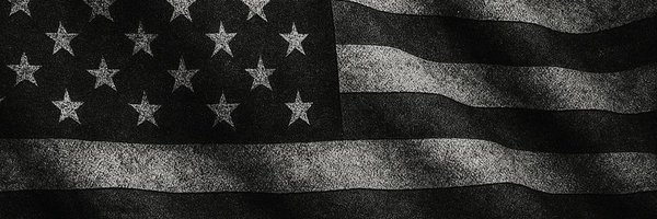 graylark Profile Banner