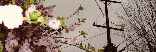 deadtonez_ Profile Banner