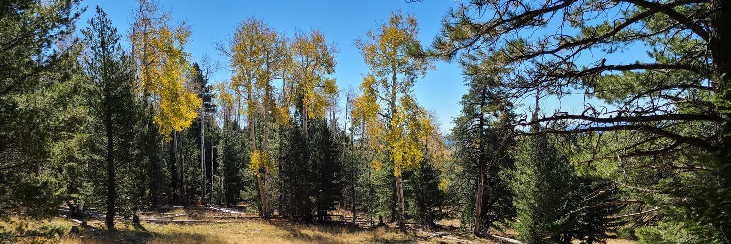 Perfect in Nature banner