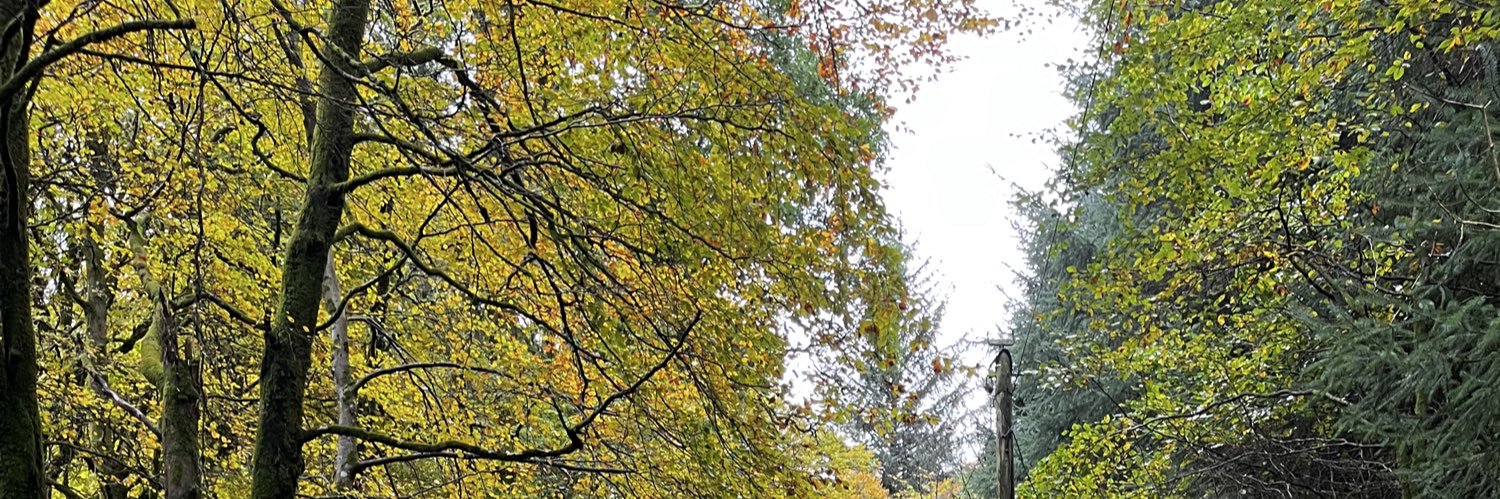 katy banner