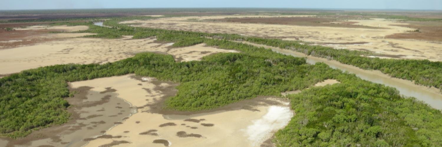 Dr Tiff Nelson banner