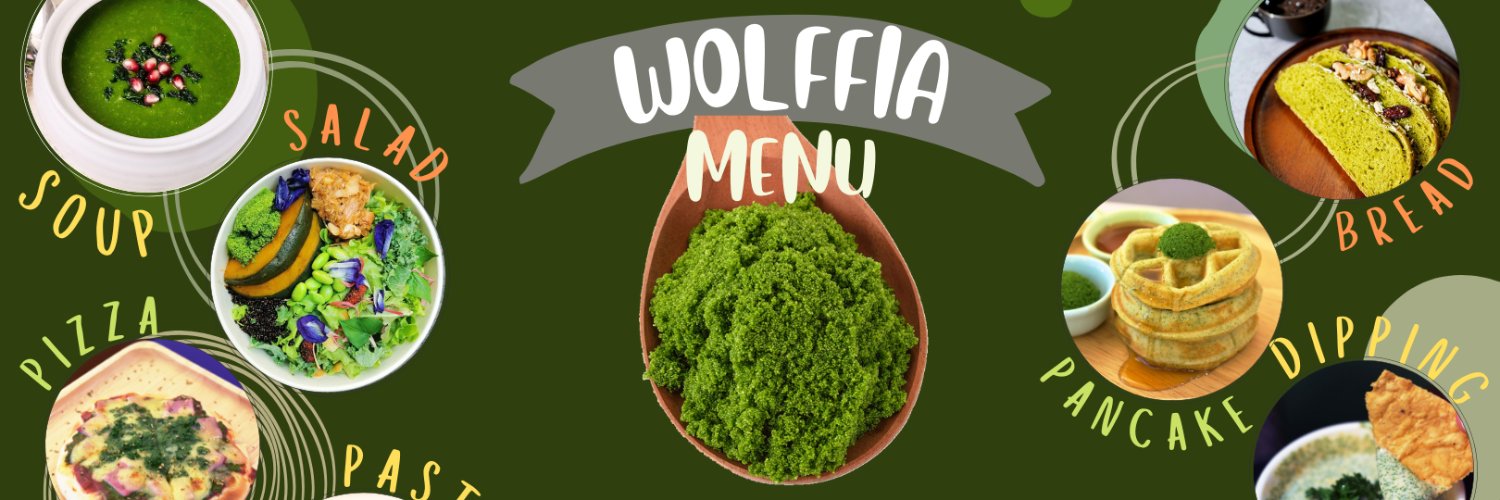 flo wolffia banner